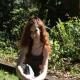Jenniflys, Ormond Beach dating, singles, personals