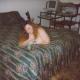 Girlygirl69, Westville dating, singles, personals