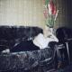 Alinabella, Omsk dating, singles, personals