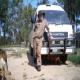 Lisle4u, Bundaberg dating, singles, personals