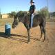Edgewoodcowboy, Edgewood dating, singles, personals